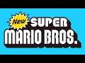 World 6 (Canyon) - New Super Mario Bros.