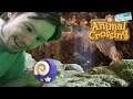 ARCHAEOLOGICAL FINDINGS | Animal Crossing
