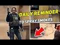Daily Csgo Moments: DAILY REMINDER TO SPRAY SMOKES
