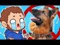 DOGS ILLEGAL?!  - Google Feud