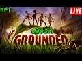 Grounded | කුබින්ගේ ලෝකයේ අපි | EP1