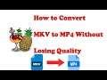 How to Convert MKV to MP4 in 1 Minute Part 2 (WORKING 2021)