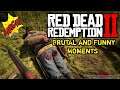 Red Dead Redemption 2 - Brutal & Funny moments (Volume 2)