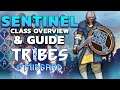 Sentinel Class Overview! AMAZING in Solo Saga Mode Runs! - Tribes of Midgard