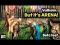 Valheim PVP Arena Fight (Team, Tournament)