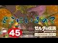 #45【Switch】ゼルダの伝説BoW ~大妖精はどこだあああ!?~