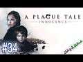 A Plague Tale: Innocence #34 | Lets Play A Plague Tale: Innocence