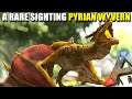 A RARE SIGHTING PYRIAN WYVERN | MYTHICAL BEASTS | ARK SURVIVAL EVOLVED [S2 EP19]