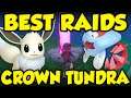 BEST MAX RAID DEN LOCATIONS IN THE CROWN TUNDRA! Rare Pokemon Raid Guide!