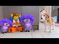 Funny Dog vs Purple Minions and more Animations Compilation