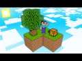 Minecraft NOOB vs PRO: NOOB FOUND SECRET SKYBLOCK! CAN NOOB SURVIVE ON THE SKYBLOCK? (Animation)