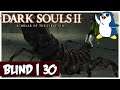 Scorpioness Najka - Shaded Woods - Dark Souls 2: Scholar of the First Sin (Blind / PC)