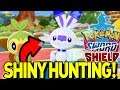 SHINY HUNTING in Pokemon Sword and Shield! Full Breakdown of Shiny Hunting Methods and Discussions!