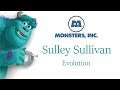 Sulley Sullivan - Evolution