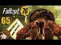 Tief im SUMPF ☢ [Let's Play Fallout 76 Deutsch]