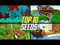 Top 10 Minecraft 1.16 BEST Seeds (PC JAVA Edition)