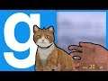 UTILISER UN CHAT COMME FUSIL ? C'EST POSSIBLE ! GMOD