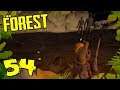 54) The Forest Co-op Playthrough | Surf's Up