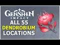 ALL 55 Dendronium Locations - Genshin Impact