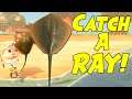 How to Catch a RAY in Animal Crossing New Horizons #shorts
