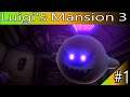 Luigi's Mansion 3 Part 1: The Return of King Boo!!