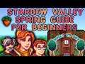 Stardew Valley SPRING Guide for Beginners - Things To Do
