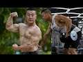 He's 72 Years Old But Looks 30! Reacting To Yang Xinmin Bodybuilding's Secrets...