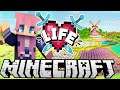 Flower Fields | Ep. 4 | Minecraft X Life SMP