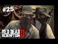 Let's Play; Red Dead Redemption 2 #25 ~ Stealing and burning down the families properties