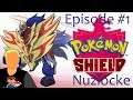 My 1st Pokemon Nuzlocke (Pokemon Shield Nuzlocke Live Episode #1) Part 1 Livestream 05/10/20