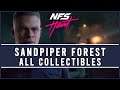 Need for Speed Heat -  Sandpiper Forest All Collectables
