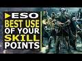 The Best Use of your Skill Points as a Beginner in ESO | Beginner Series Ep. 3