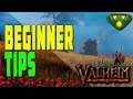Valheim Beginner Tips and Tricks