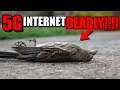 WARNING 5G Internet Is DEADLY!!!! (Must See)