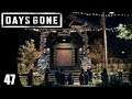 A Candle in the Darkness - Days Gone - Part 47