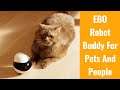 EBO Robot Buddy for Pets and People