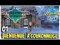 Les Terres enneigées de la Couronne 01: Couronneige POKEMON Epée DLC 2 français Nintendo Switch