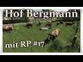 LS 19 - Hof Bergmann mit RP /#17/ Mehr Kühe