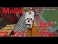 Minecraft Xbox | Mollie | [224]