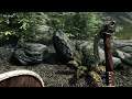 (Skyrim) You Should Let Him Out #2