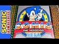Sonic the Hedgehog 30th Anniversary (IN 200,000 DOMINOES!)