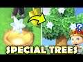 🌟🌳 What Can You Grow On SPECIAL TREES? | Animal Crossing New Horizons