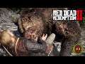 ÉN ÉS A MEDVE | Red Dead Redemption 2 Végigjátszás Magyarul #4