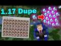 Java 1.17 Dupe (General Item Dupe) - Minecraft