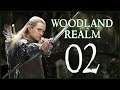 RECLAIMING MIRKWOOD - Woodland Realm - Third Age Total War: Divide and Conquer V4 - Ep.02!