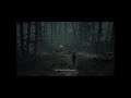 The Medium - Find Thomas: Make Your Way Deeper Into The Resort: "Niwa Massacre" WW ll Grave 4K PC