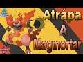 Consigue a Magmortar SALVAJE YA 😱 | Pokémon Espada y Escudo | Alejandro XYZ