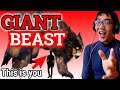 Dissecting Monsters! Could Giant Beasts ACTUALLY Exist? | The SCIENCE of... Dauntless 【Reaction Vid】