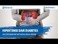 Hipertensi dan Diabetes Jadi Penyebab Penyakit Gagal Ginjal Kronis