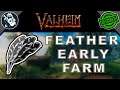 How to Farm: Get Feathers Tutorial in Valheim Farming Beginners Guide